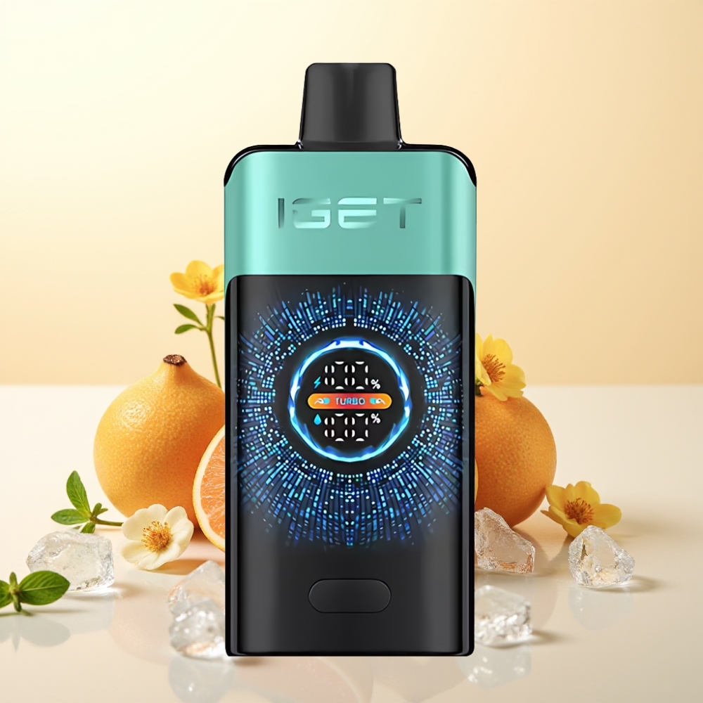 IGET ONE 12000 Puffs Wegwerp Vape Bergbron Munt IJs met 2700 mAh Batterij
