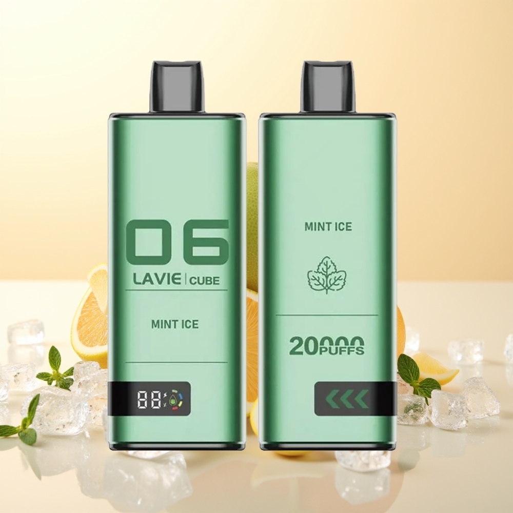 Lavie Cube 20000 Puffs Wegwerp Vape Munt IJs met 600mAh & Type C