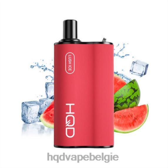 HQD BOX 4000 trekjes | Best HQD Flavors RX24V86 weelderig ijs