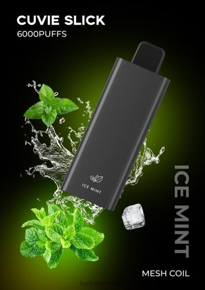 HQD CUVIE SLICK 6000 trekjes | HQD Vapes RX24V27 gladde ijsmunt