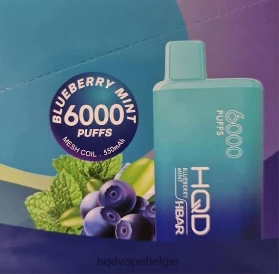 HQD HBAR 6000 trekjes | HQD Vape België RX24V51 bosbessen munt